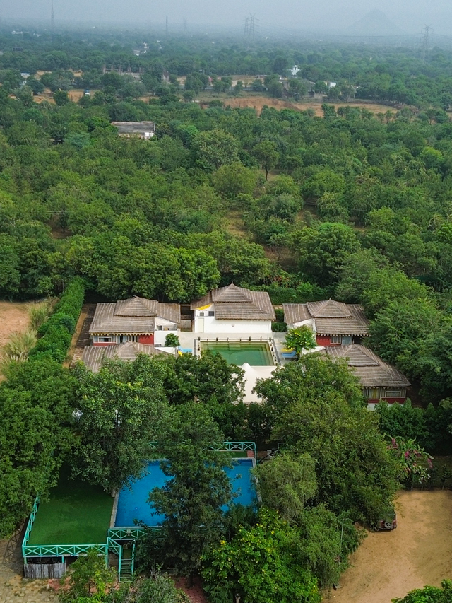 Escape the chaos into a sprawling, lush green haven where nature does the storytelling