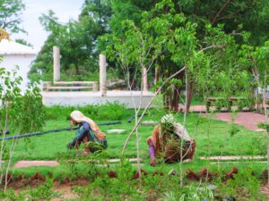 Two people gardening in lush resort